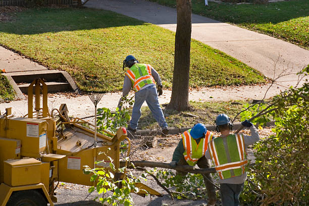 Best Lawn Watering Services  in Fort Atkinson, WI